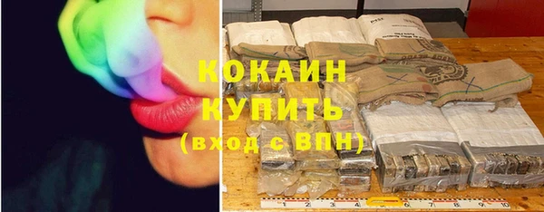 шишки Дмитров