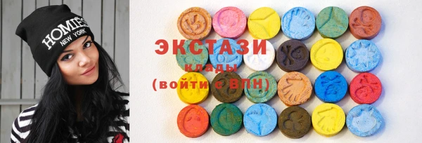 соль ск Ельня
