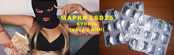 шишки Дмитров