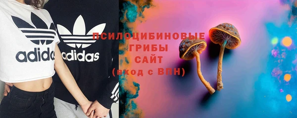 шишки Дмитров