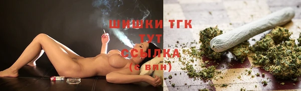 соль ск Ельня