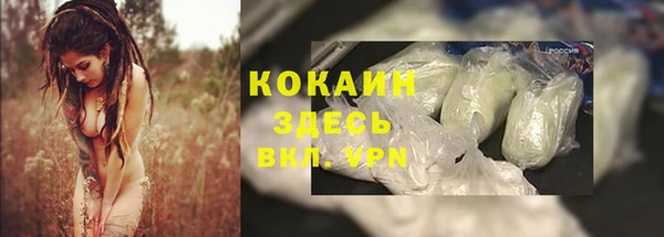 прущие крисы Елизово