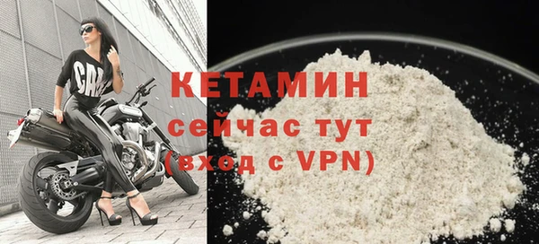 соль ск Ельня