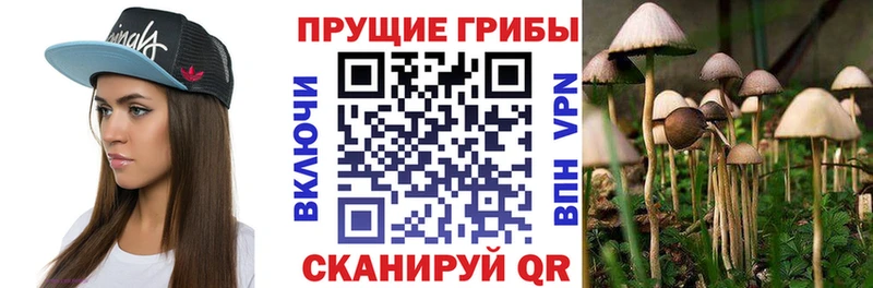 Псилоцибиновые грибы мухоморы  Майкоп 